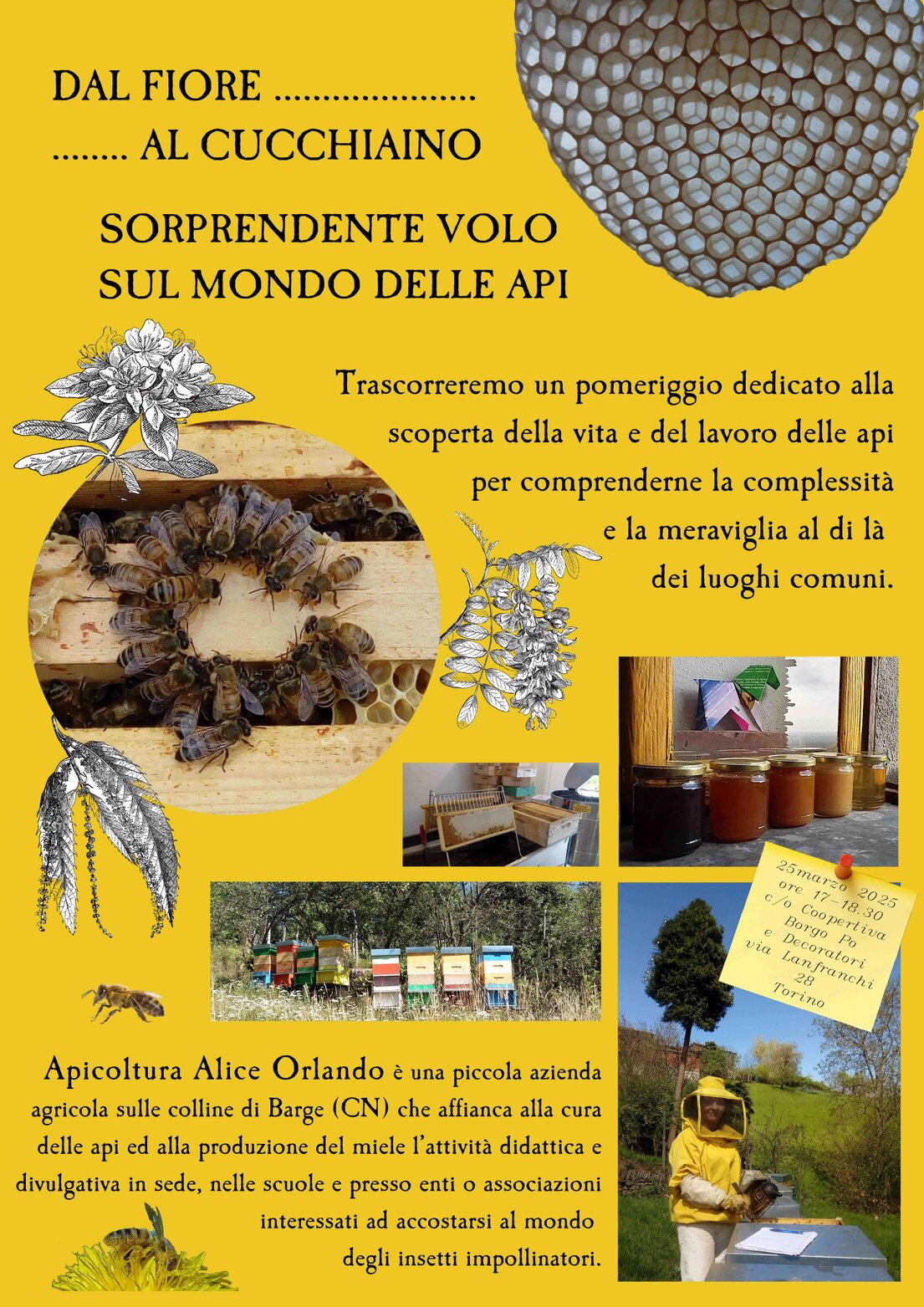 locandina 2025-03-25 "Dal fiore al cucchiaino" con Apicoltura Alice Orlando